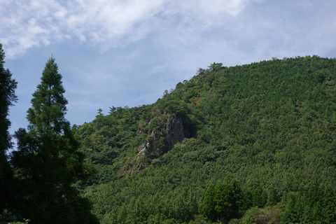 No.13