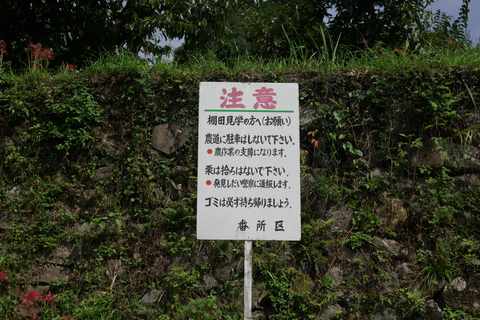 No.15