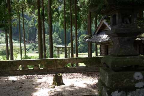 No.3