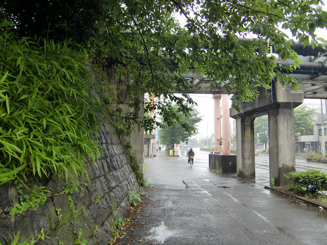 雨にうたれて緑もきれいです